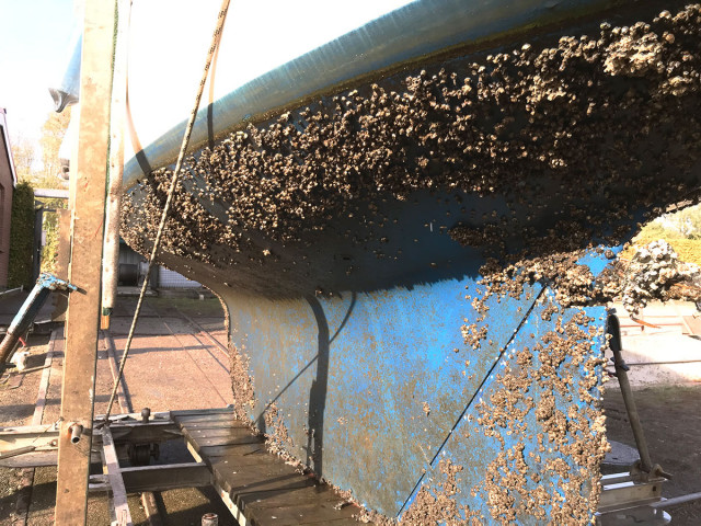 Da ist klar, wie die kommenden Winterabende sinnvoll genutzt werden ...