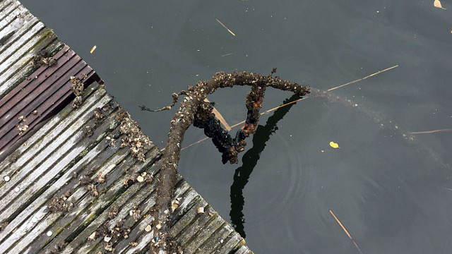 War schon eine gute Idee, die Rohre zu wechseln ...