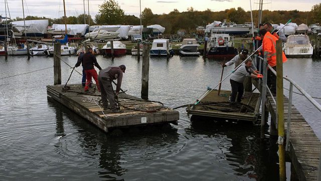 ... dafür trainiert die Arbeit auf der schwimmenden Plattform den Gleichgewichtssinn ...