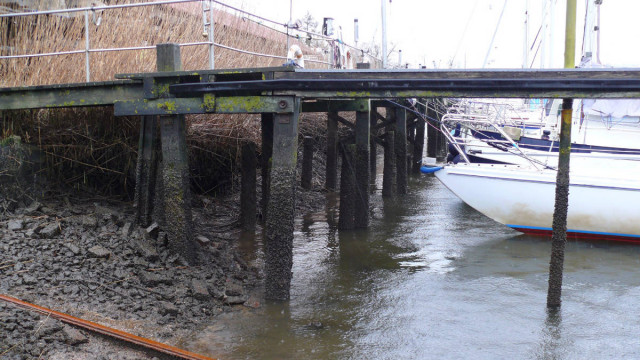 ... aber wenn man genauer hinsieht fällt schon auf, dass Wasser fehlt.
