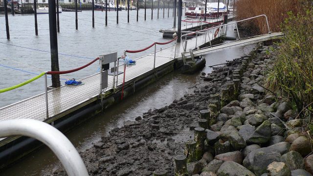 So ein Schwimmsteg hat Vorteile