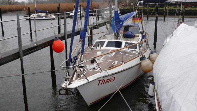 Erstaunlich, was bisschen weniger Wasser bewirkt: Thalia wirkt geradezu zierlich.