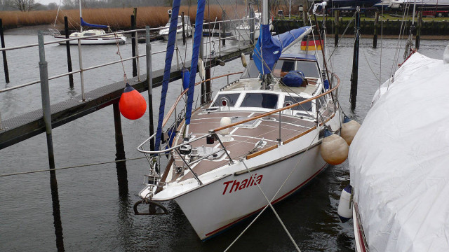 Erstaunlich, was bisschen weniger Wasser bewirkt: Thalia wirkt geradezu zierlich.